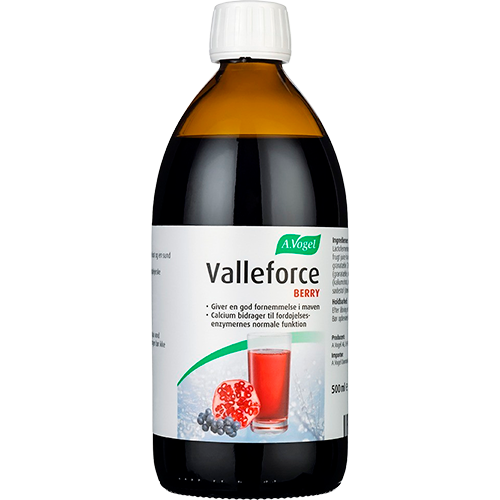 A. Vogel Valleforce Berry (500 ml)