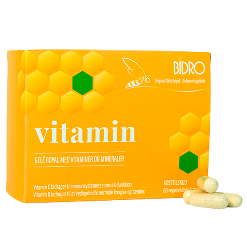 Bidro Vitamin Vegansk (60 kaps)