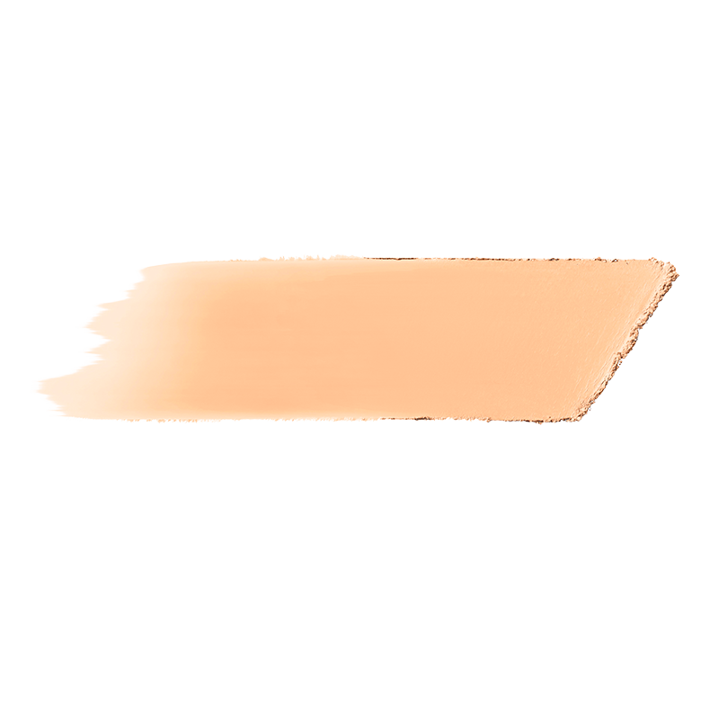 bareMinerals barePRO Performance Wear Powder Foundation Warm Light 07 (10 g)