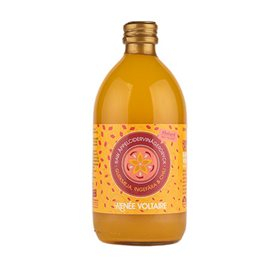 Renée Voltaire Æblecidereddike Raw Ø med Gurkemeje, Ingefær og Chili (500 ml)