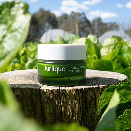 Jurlique Herbal Recovery Eye Cream (15 ml)