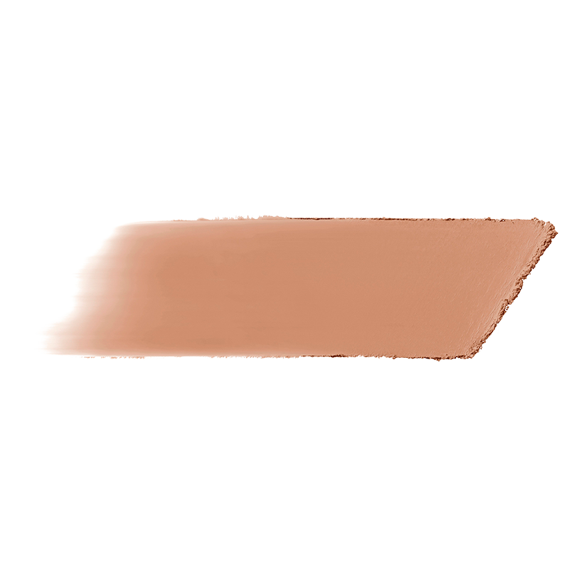 bareMinerals barePRO Performance Wear Powder Foundation Almond 22 (10 g)