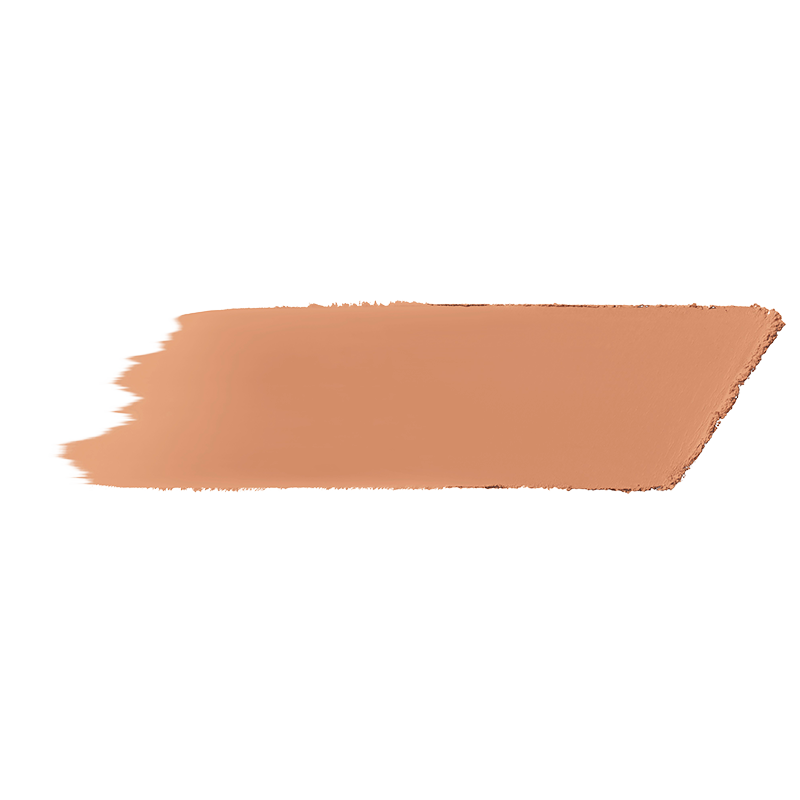bareMinerals barePRO Performance Wear Powder Foundation Sable 21 (10 g)