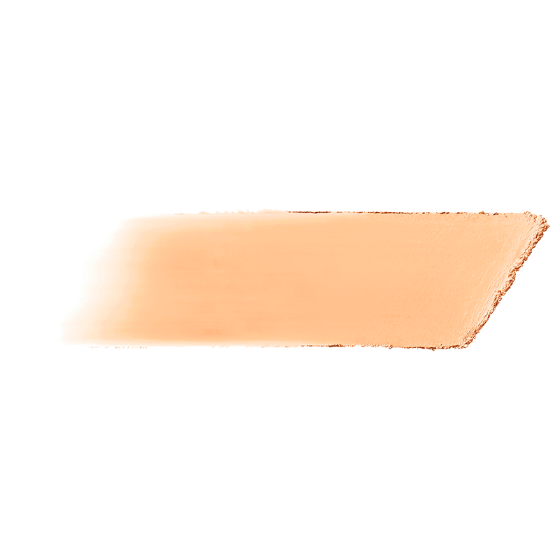 bareMinerals barePRO Performance Wear Powder Foundation Ivory 02 (10 g)