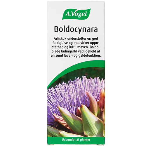 A. Vogel Boldocynara (50 ml)