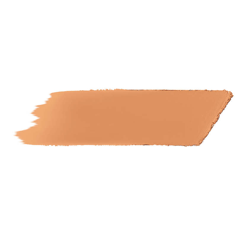bareMinerals barePRO Performance Wear Powder Foundation Toffee 19 (10 g)