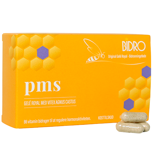 Bidro PMS (60 kapsler)