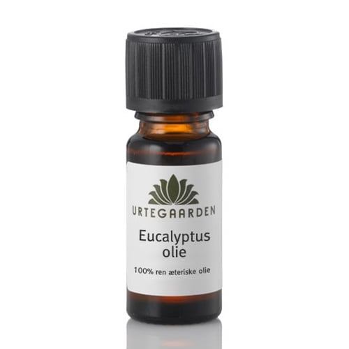 Eucalyptusolie æterisk olie 10 ml.