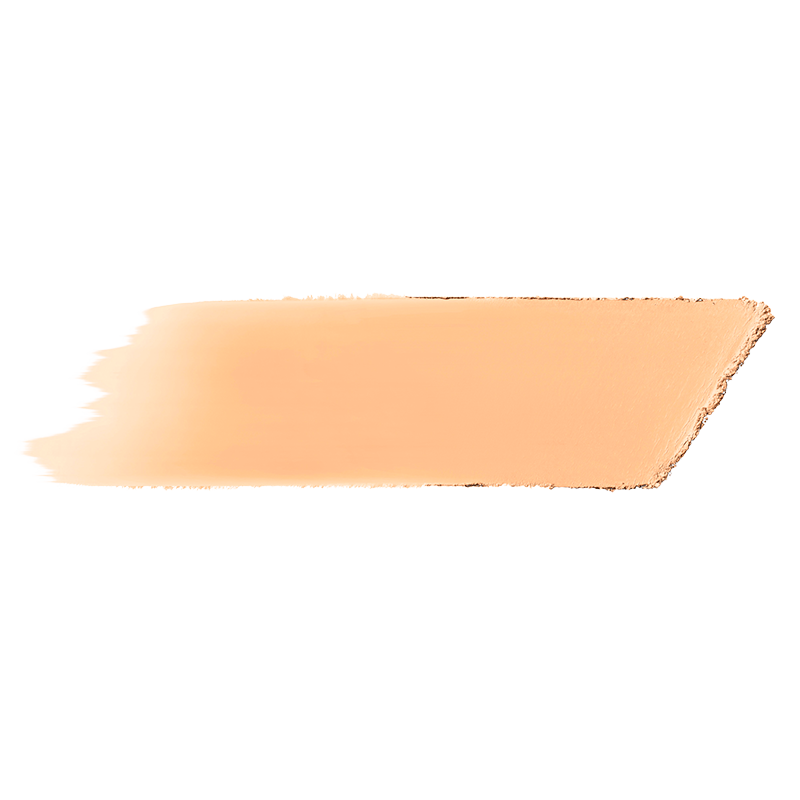 bareMinerals barePRO Performance Wear Powder Foundation Golden Ivory 08 (10 g)
