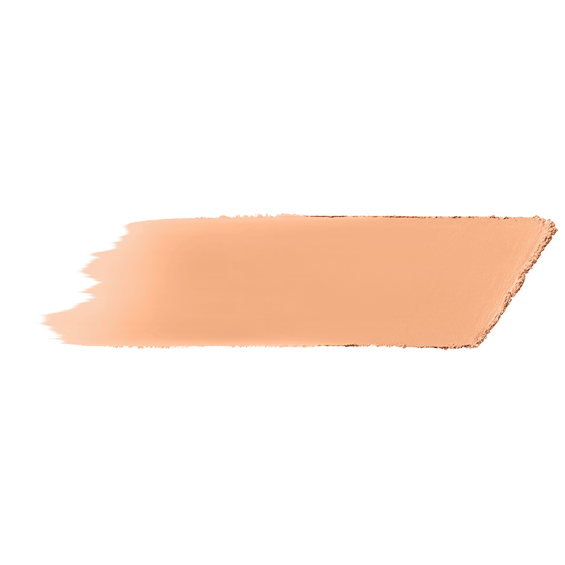 bareMinerals barePRO Performance Wear Powder Foundation Cashmere 06 (10 g)