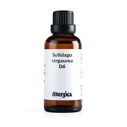 Solidago D6 (50 ml)