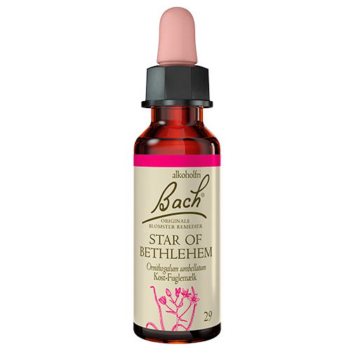 Dr. Bach Kost-Fuglemælk Dråber (10 ml)