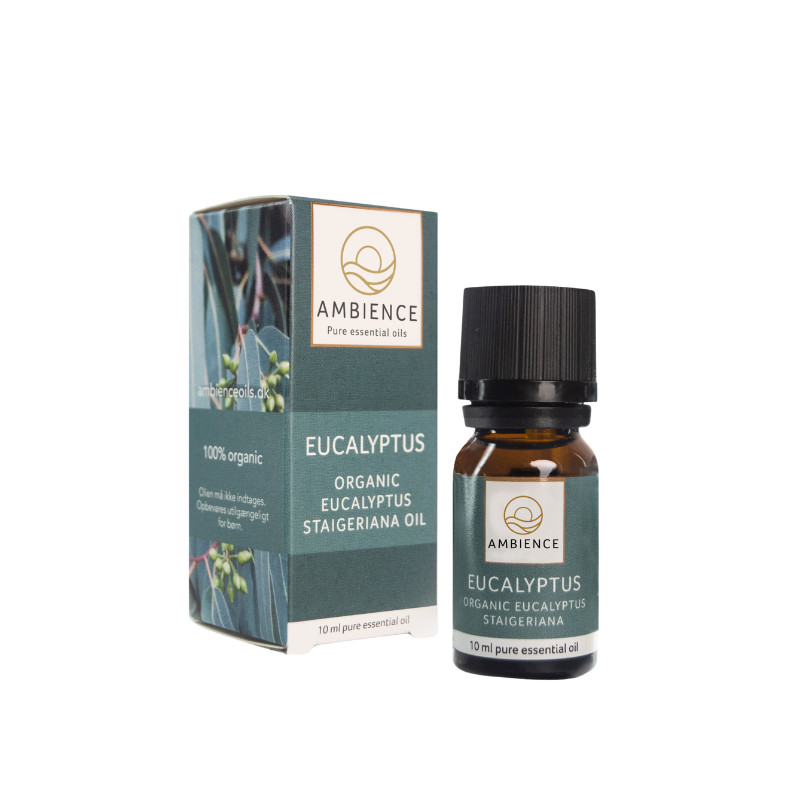 Ambience Æterisk Eukalyptus Olie Ø (10 ml)