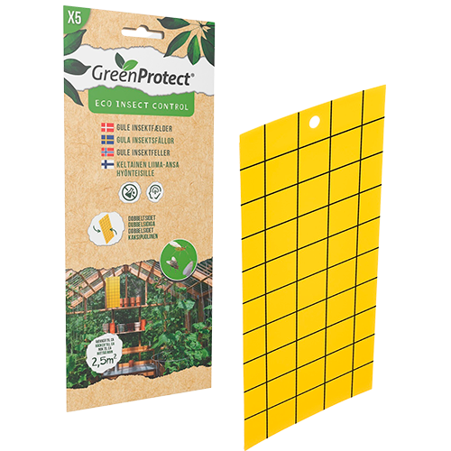 Green Protect Gule Insektfælder (5 stk)