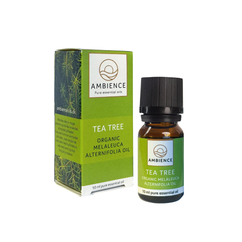 Ambience Æterisk Tea Tree Olie Ø (10 ml)