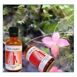 Rod maskulin chakra (50 ml)