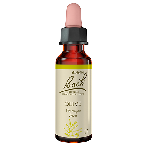 Dr. Bach Oliven (10 ml)