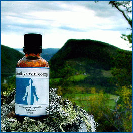 Holistica Medica Hothyrosin Comp. (50 ml)