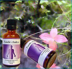 Pande chakra (50 ml)