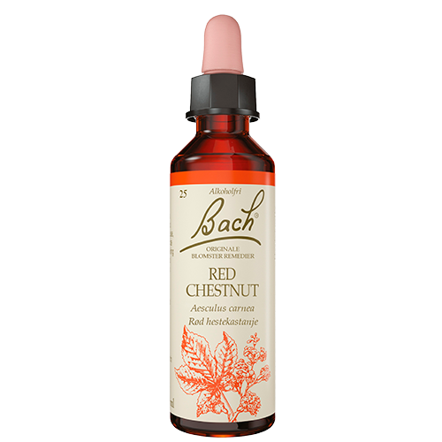 Dr. Bach Rød Hestekastanie Dråber (10 ml)