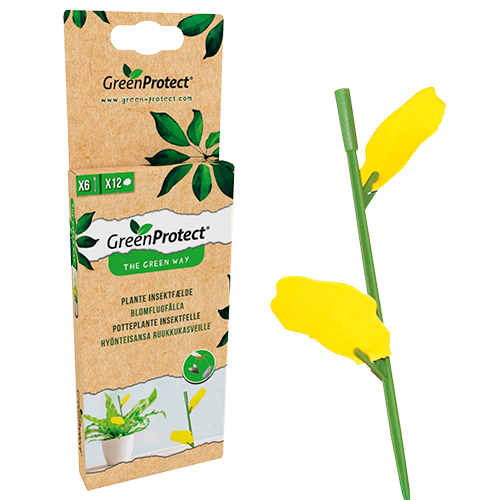 GreenProtect Plante Insektfælde (1 stk)