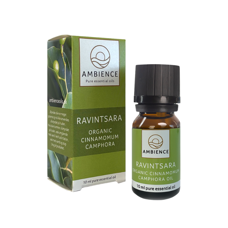 Ambience Æterisk Kamfertræ Olie Ø (10 ml)